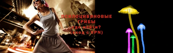 амф Протвино