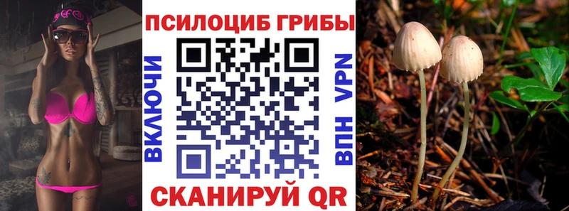 Галлюциногенные грибы мицелий  наркотики  Слюдянка 